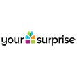 YourSurprise.nl